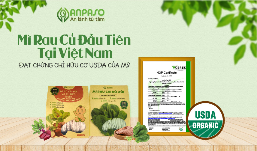 Mì rau củ organic Anpaso ảnh 2