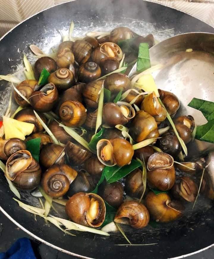 Ốc Hải Phòng ảnh 2