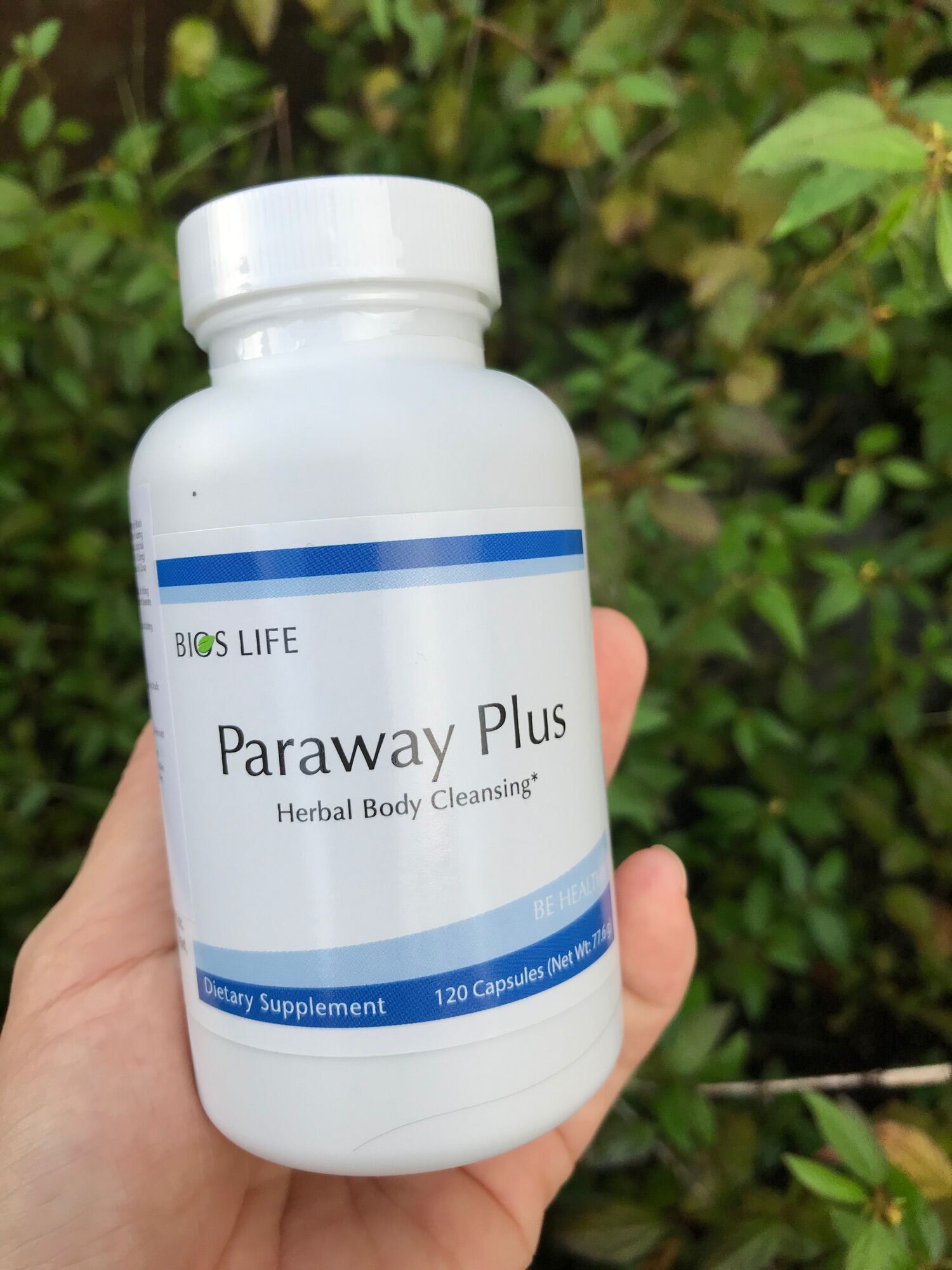 Paraway Plus ảnh 2