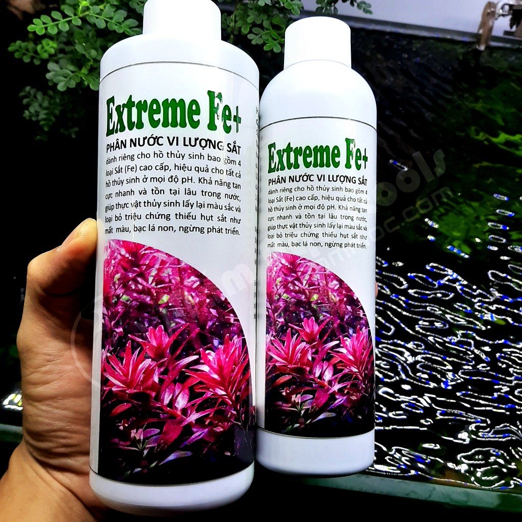 Phân Nước Vi Lượng Sắt Extreme Fe+ ảnh 2