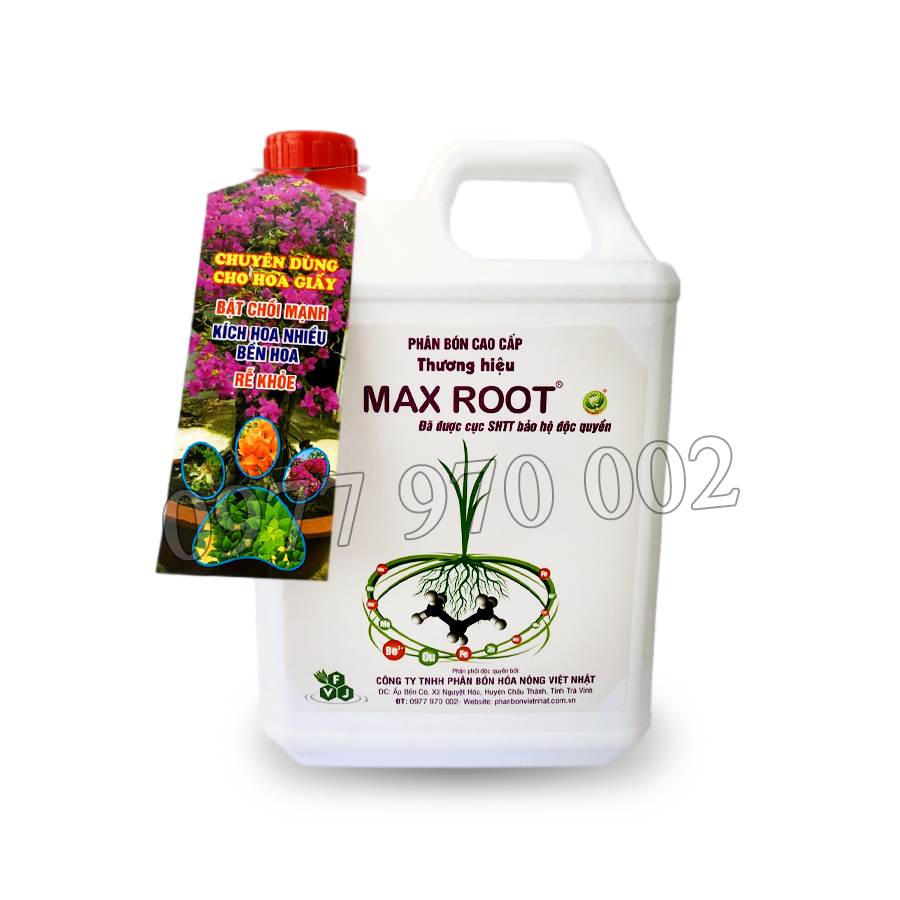 Phân bón MAX ROOT CHUYÊN HOA GIẤY ảnh 1