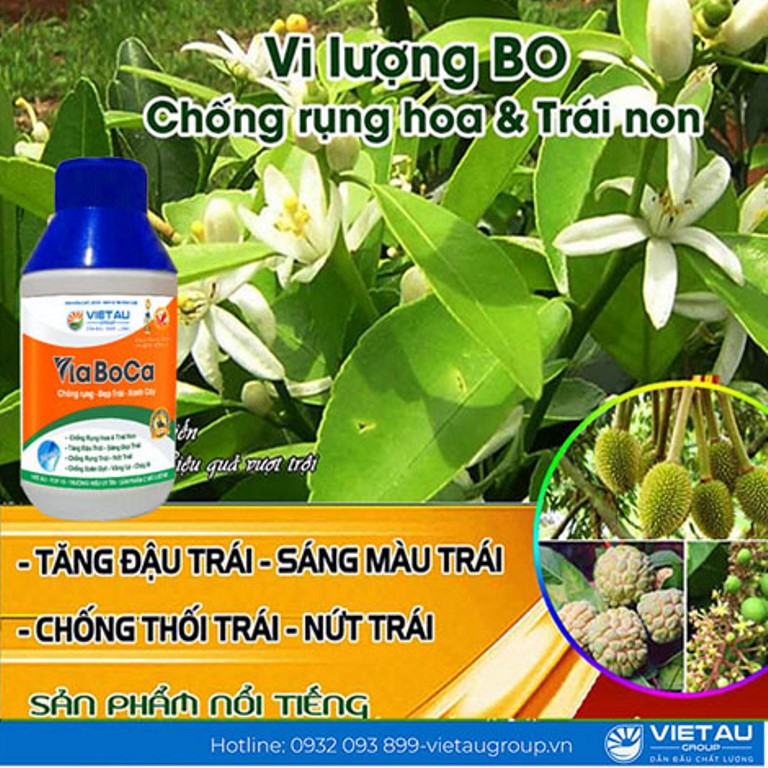 Phân bón lá Via BoCa ảnh 2