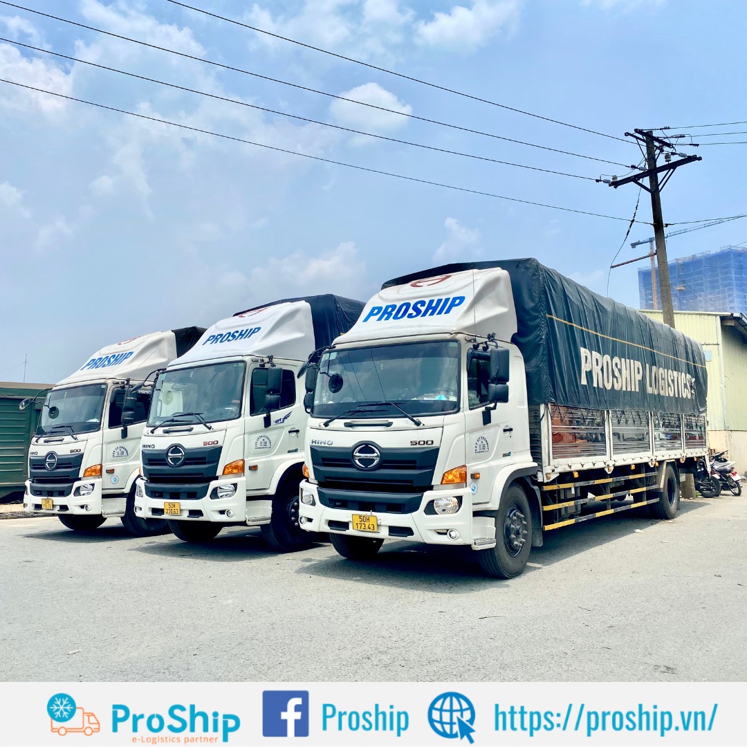 Proship Logistics ảnh 2