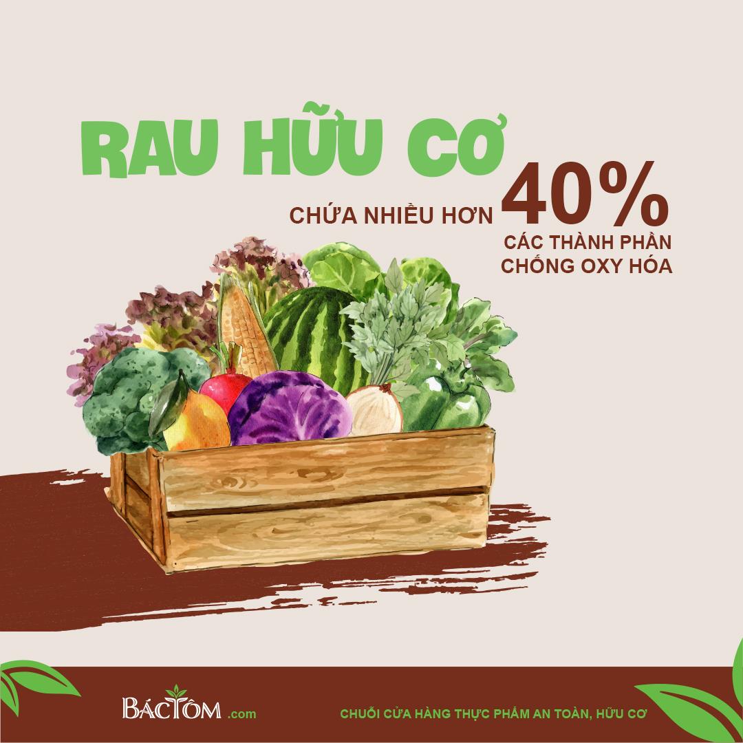 Rau Bác Tôm ảnh 3