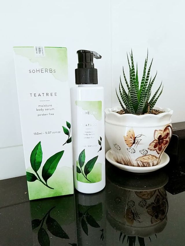 Serum soHERBs Teatree Chiết Xuất Trà Xanh ảnh 1