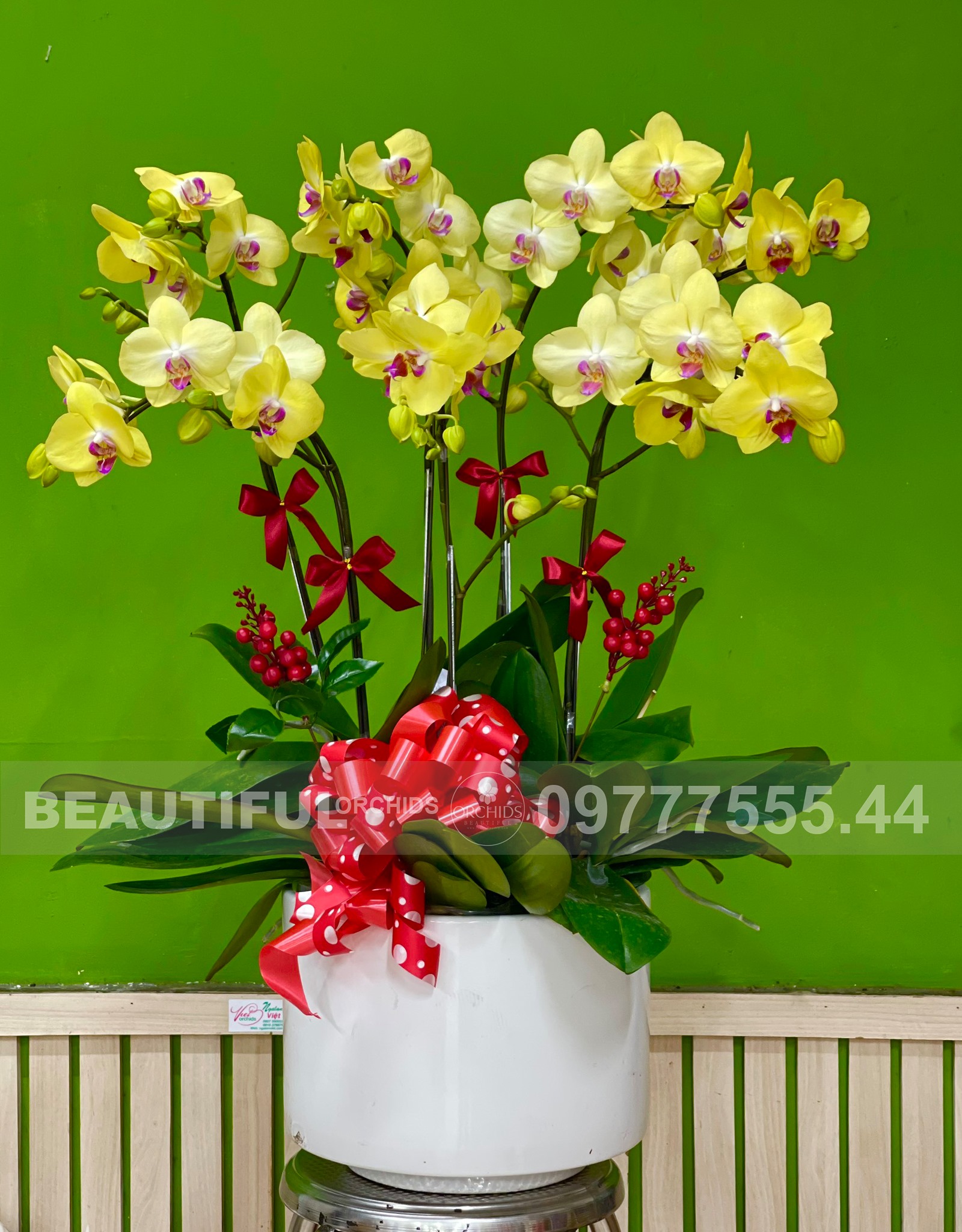 Shop Lan Hồ Điệp Beautiful Orchids ảnh 2