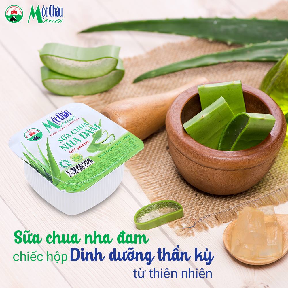 Sữa chua Mộc Châu Nha đam ảnh 2