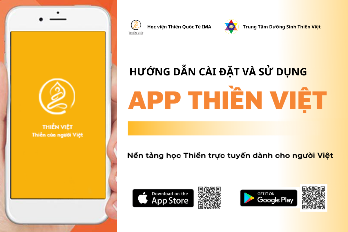 THIỀN VIỆT ảnh 2