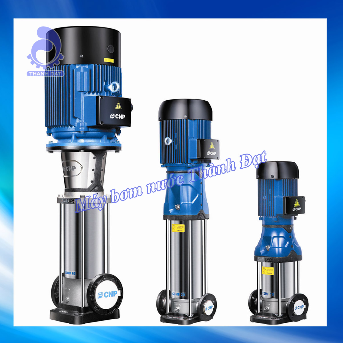 Thành Đạt Pumps ảnh 1