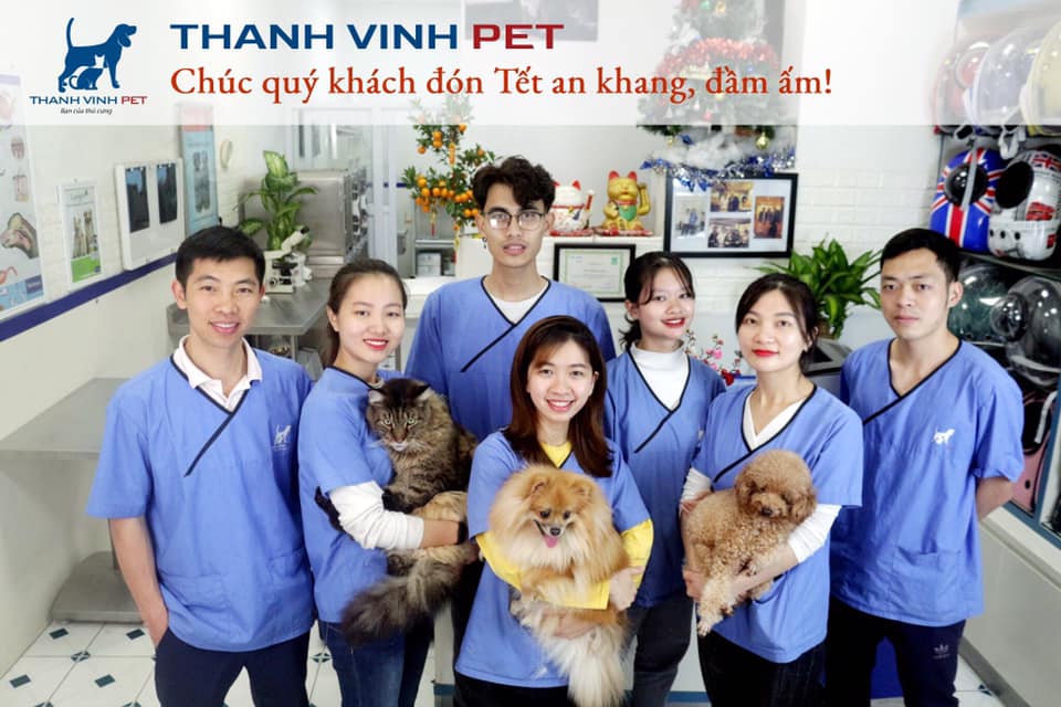 Thành Vinh PET ảnh 1