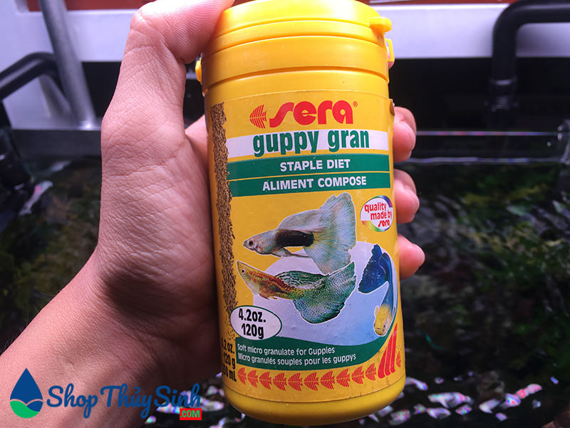 Thức ăn cho cá bảy màu Sera Guppy Gran ảnh 2