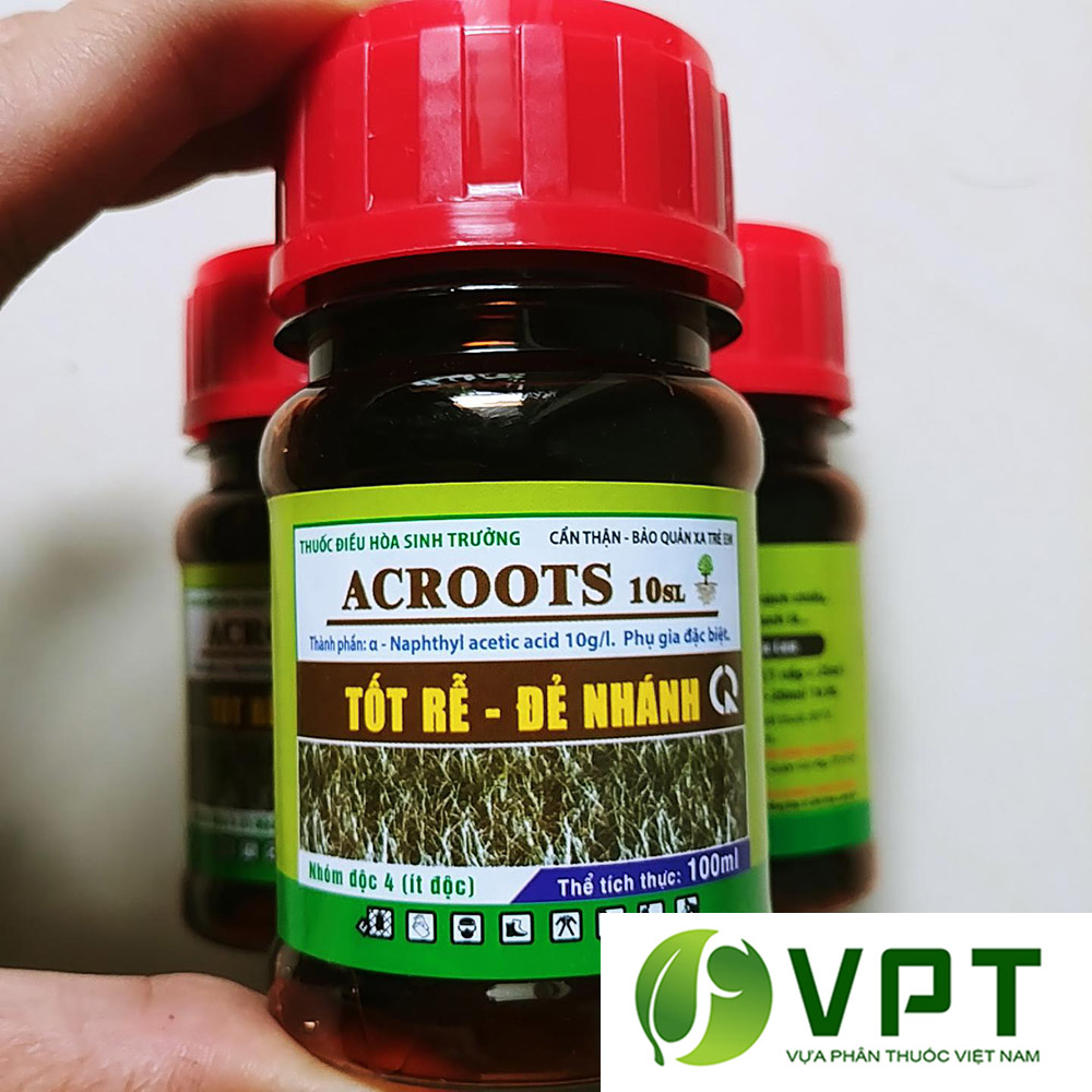 Thuốc điều hòa sinh trưởng cây trồng ACROOTS 10SL ảnh 2