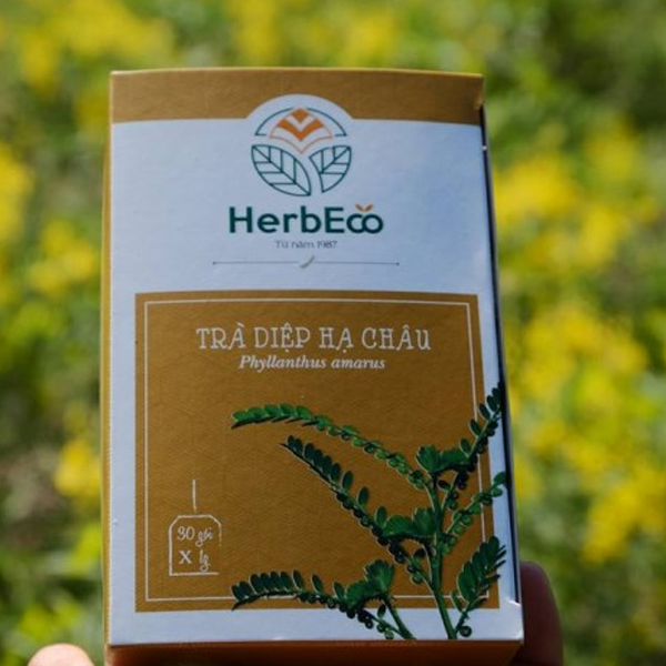 Trà Diệp Hạ Châu HerbEco ảnh 2