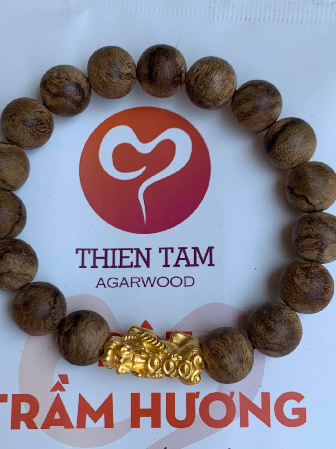 Trầm Hương Thiên Tâm ảnh 1