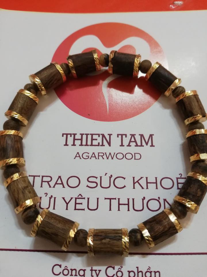 Trầm Hương Thiên Tâm ảnh 3