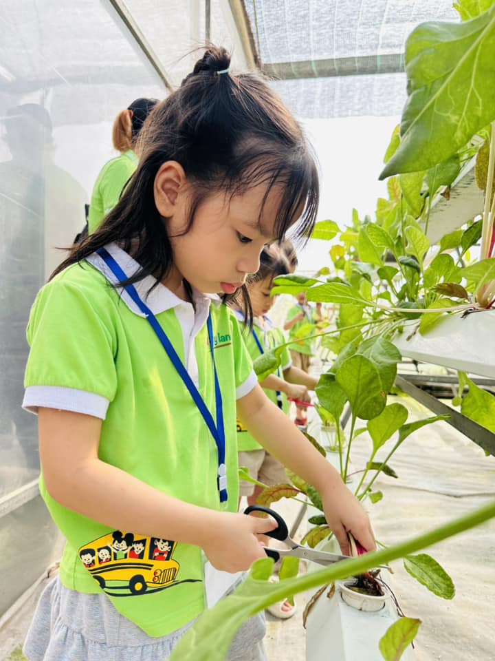 Trang Trại Giáo Dục STEAM LAND ảnh 1