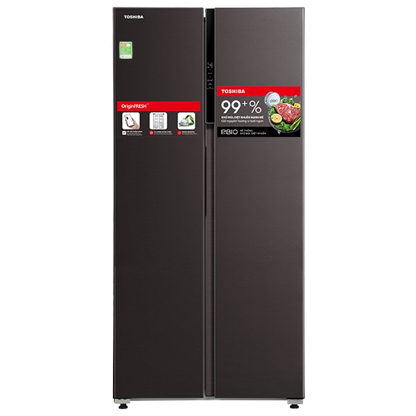 Tủ lạnh Toshiba ảnh 1