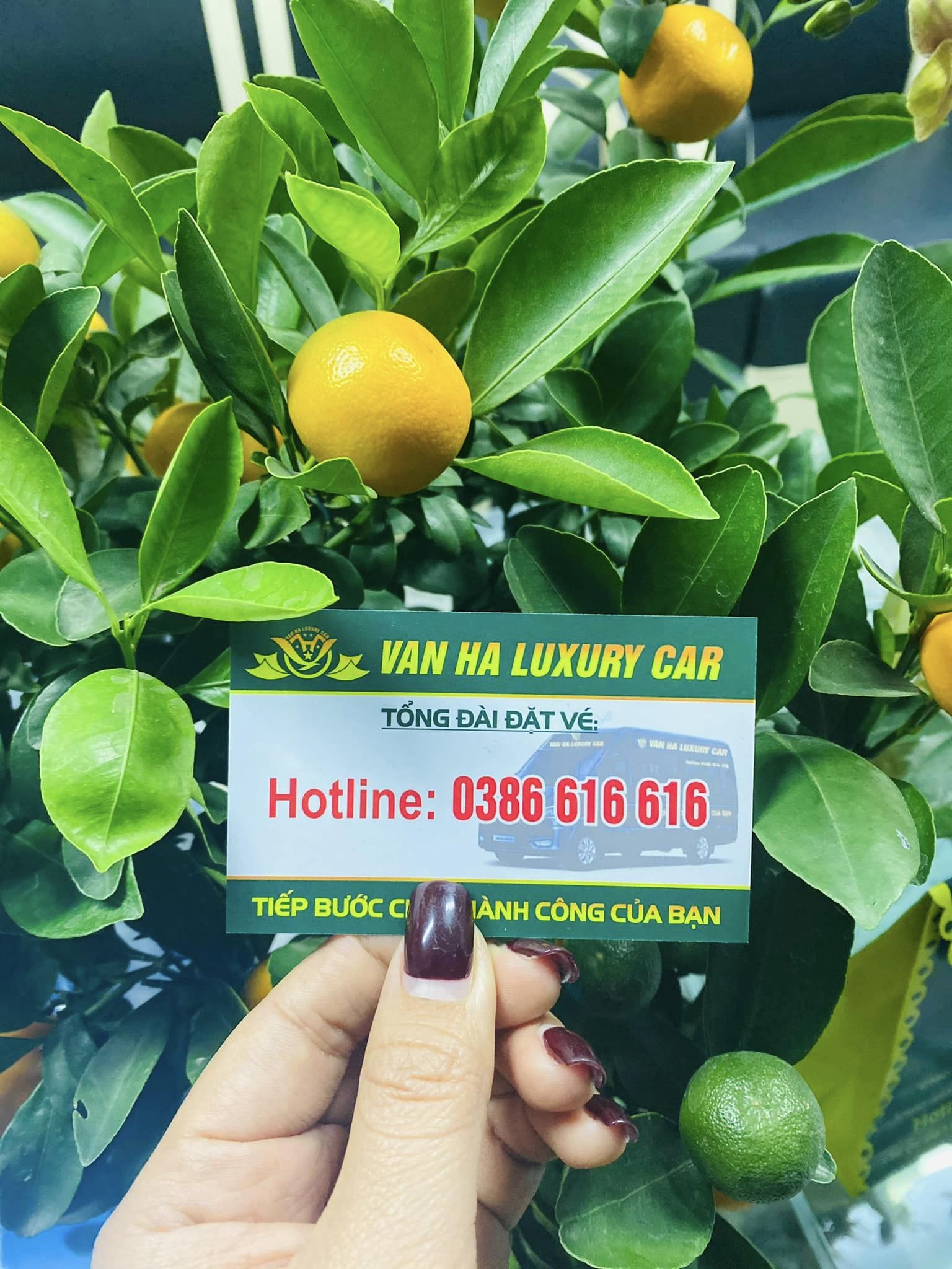 Vân Hà Luxurycar ảnh 2