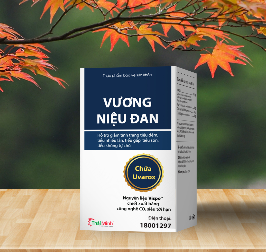 Vương Niệu Đan ảnh 2