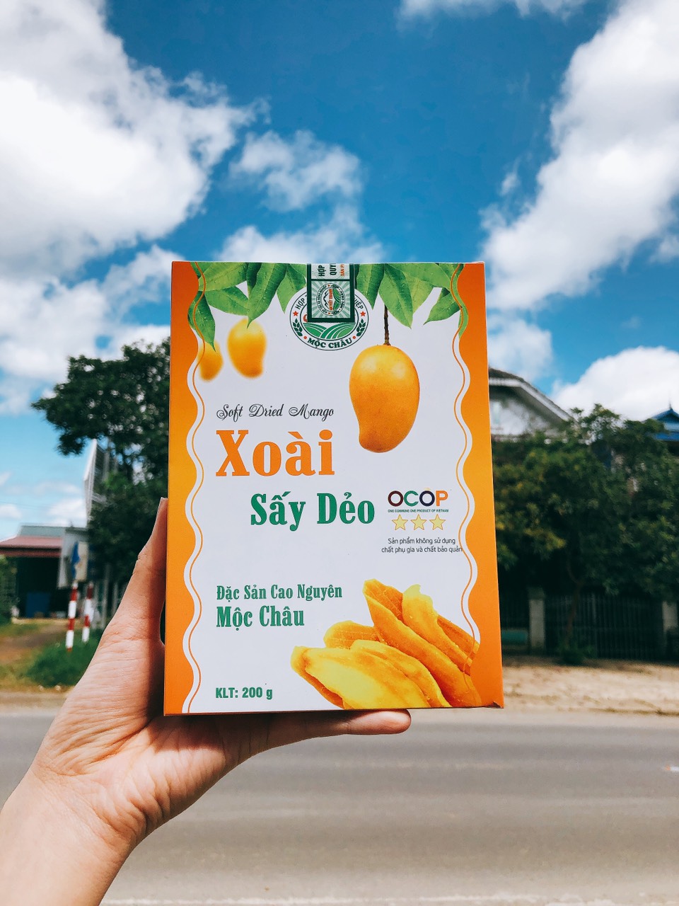 Xoài sấy dẻo Mộc Châu ảnh 1