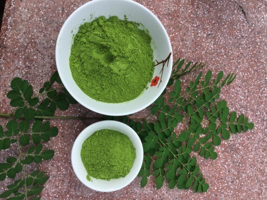 bột chùm ngây được yêu thích nhất hiện nay