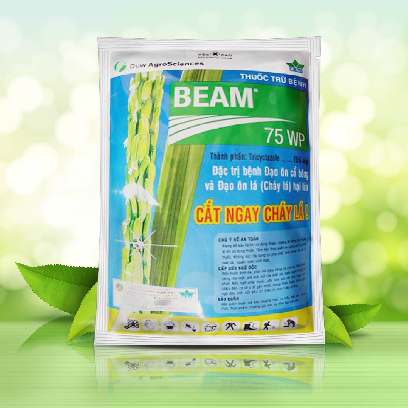 Beam 75WP – Thuốc đặc trị đạo ôn lá, đạo ôn cổ bông ảnh 1