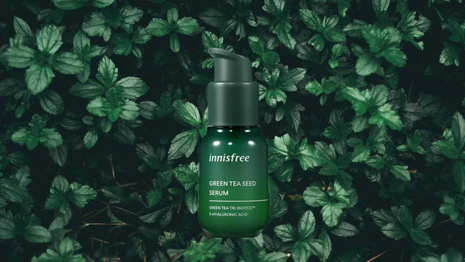 innisfree ảnh 2