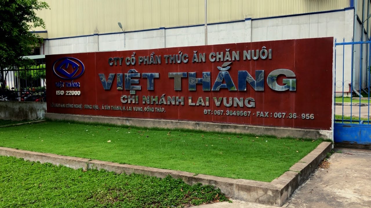 Công ty CP thức ăn chăn nuôi Việt Thắng ảnh 1