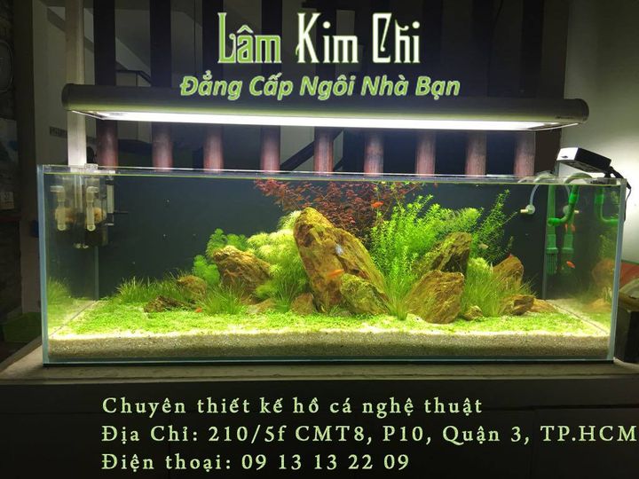 Cửa hàng Lâm Kim Chi ảnh 1