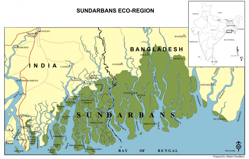 Vị trí rừng Sundarbans (phần màu xanh) ảnh 2