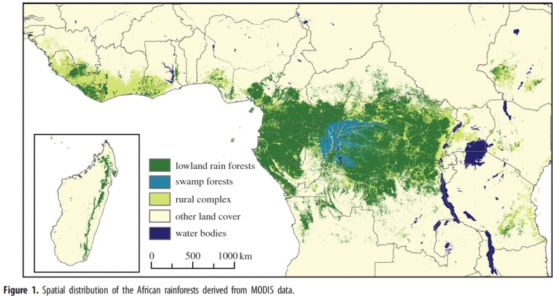 Vị trí rừng Congo (phần màu xanh) ảnh 2