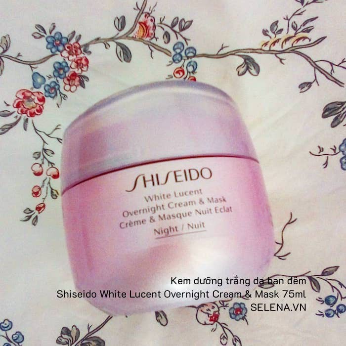 Shiseido White Lucent Overnight Cream & Mask ảnh 1