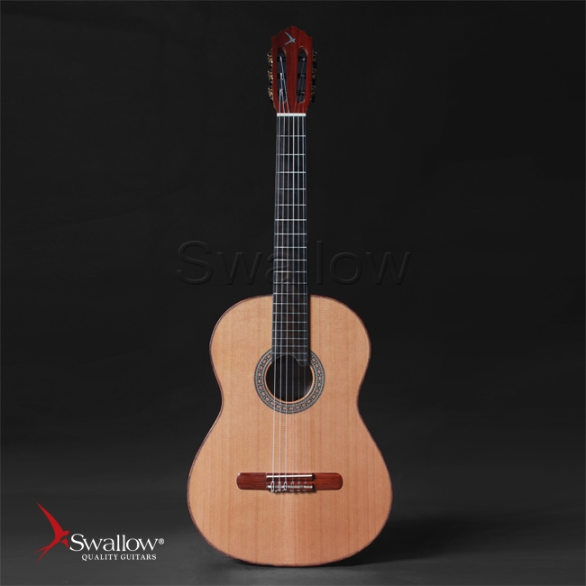 Swallow Guitars ảnh 1