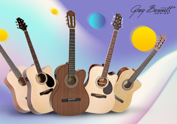 Vẻ đẹp của cây đàn guitar Samick ảnh 1