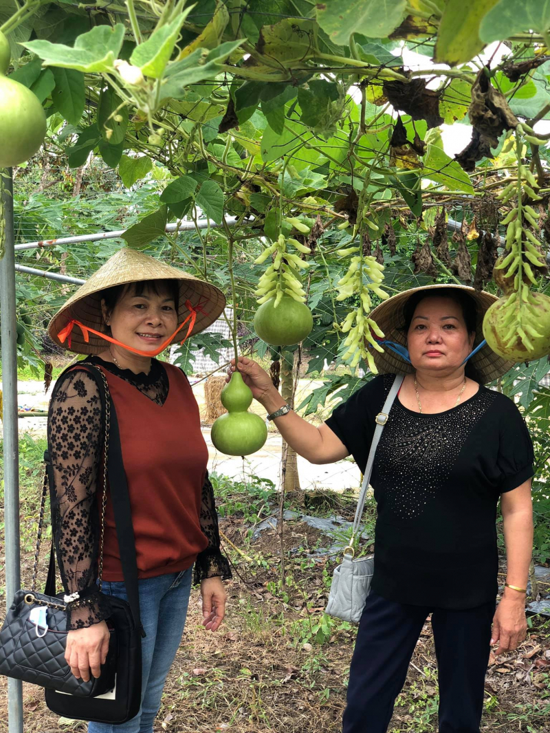 Vườn trái cây Bà Hiệp ảnh 1
