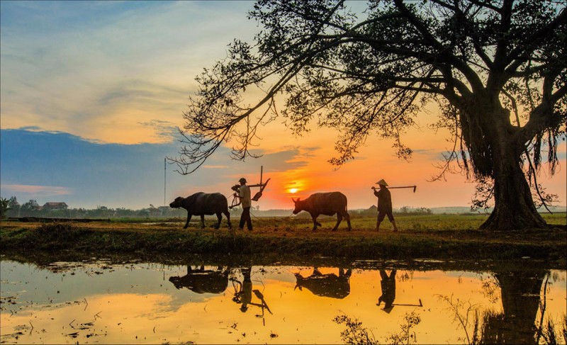 Bài văn Phân tích diễn biến tâm trạng nhân vật ông Hai trong truyện ngắn Làng của Kim Lân (Ngữ văn 9) hay nhất