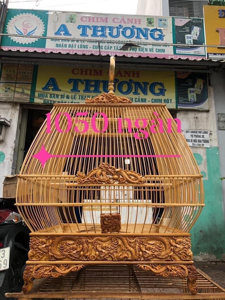 Top 10+ địa chỉ bán lồng chim đẹp ở Sài Gòn uy tín, giá tốt | HCMtoplist
