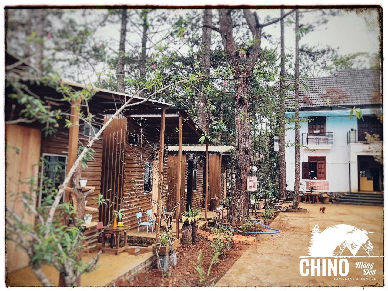 Chino Homestay Măng Đen ảnh 1