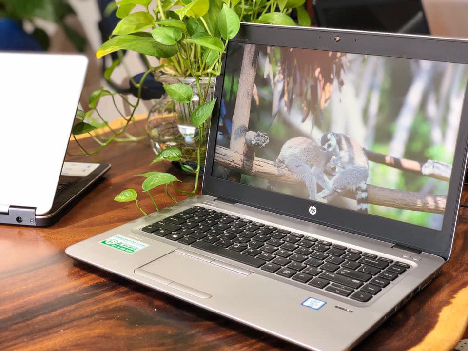 LaptopBamboo ảnh 2