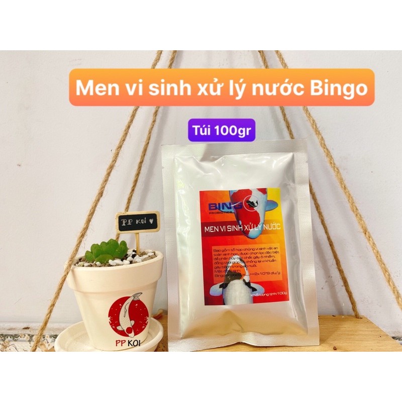 Men vi sinh xử lý nước Bingo ảnh 1