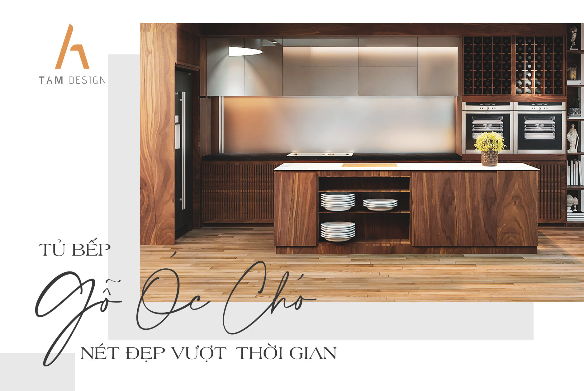 TAM Design ảnh 2