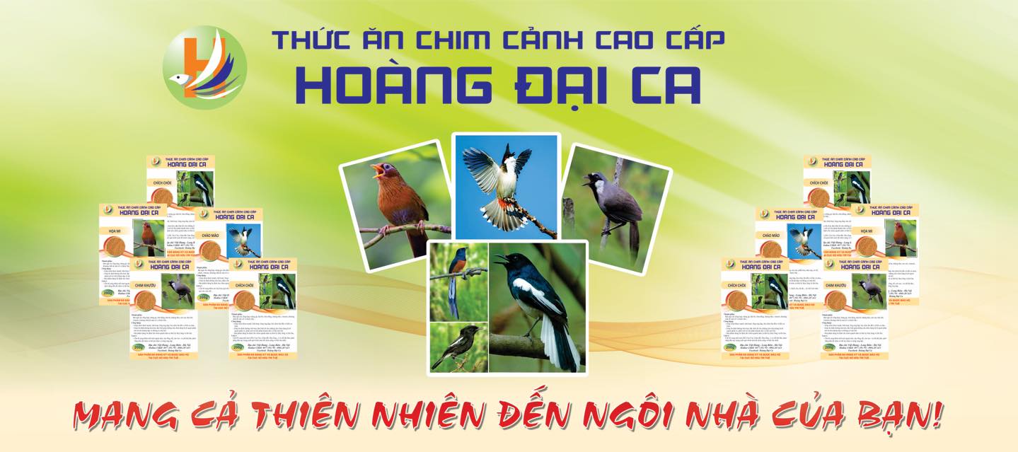 Thức Ăn Chim Cảnh Hoàng Đại Ca ảnh 1