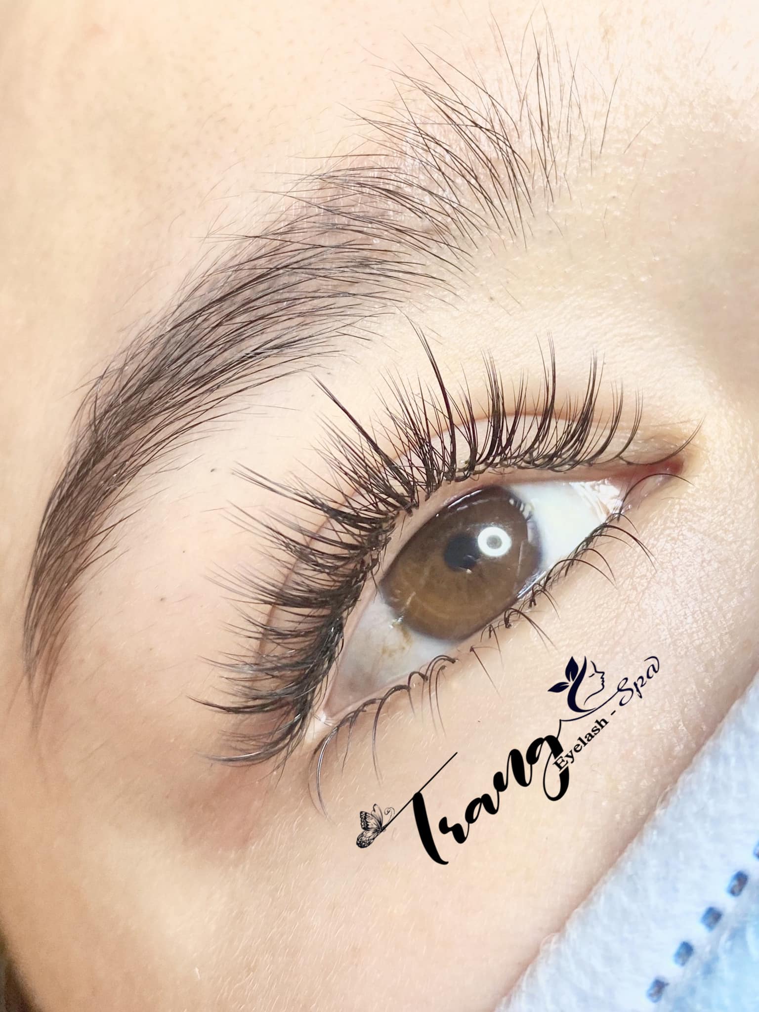 Trang Eyelash ảnh 2