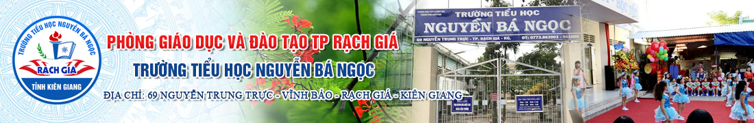 Trường Tiểu học Nguyễn Bá Ngọc ảnh 1