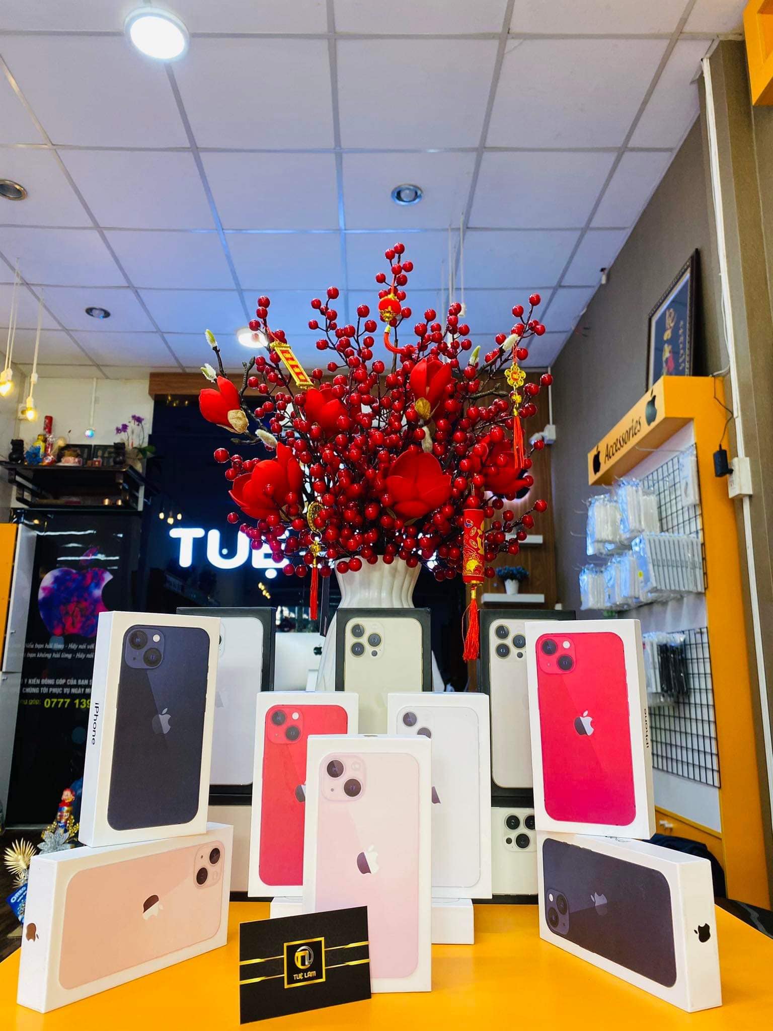 Tuệ Lâm Apple ảnh 1