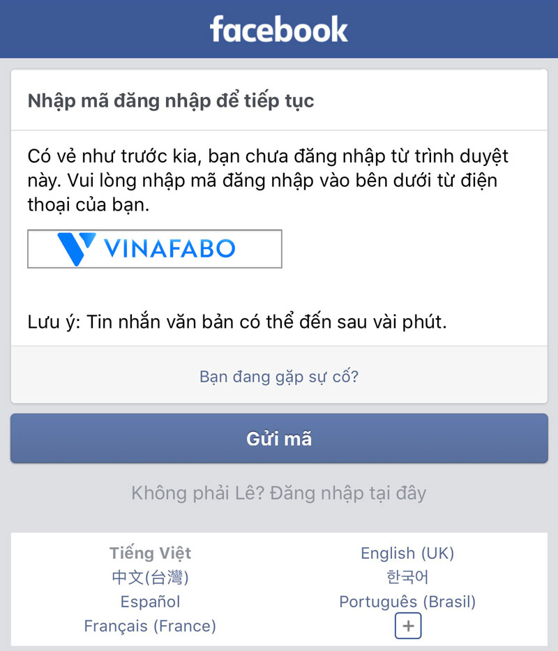 VinaFabo ảnh 2