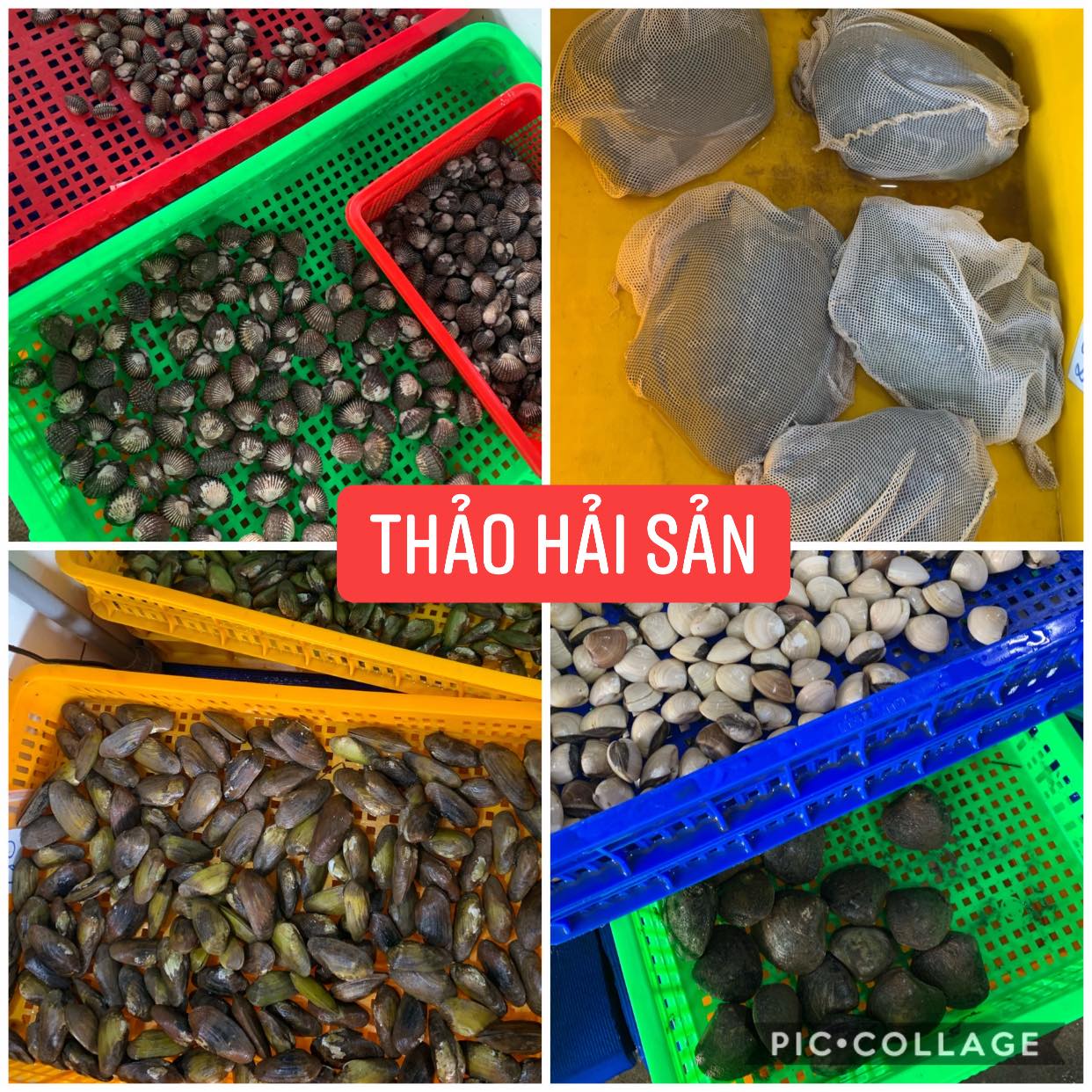 Vựa Hải Sản Thảo ảnh 1