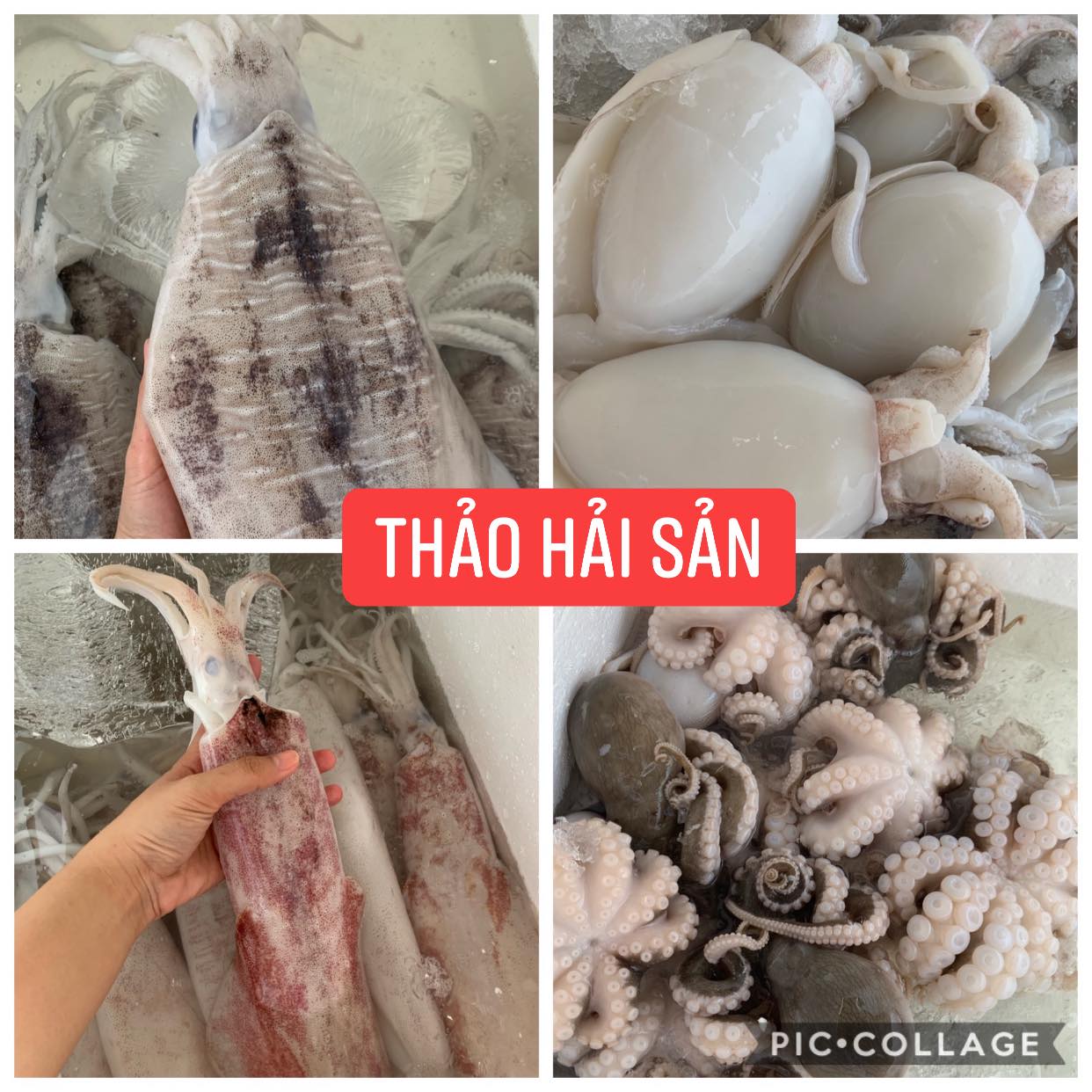 Vựa Hải Sản Thảo ảnh 2