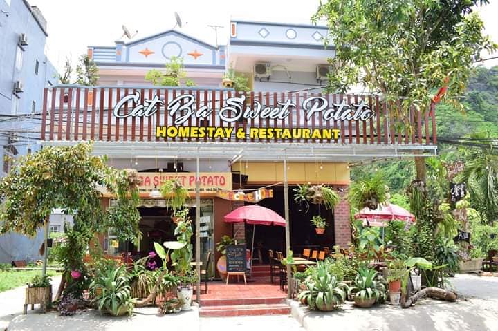 Cat Ba Sweet Potato Homestay & Restaurant ảnh 2