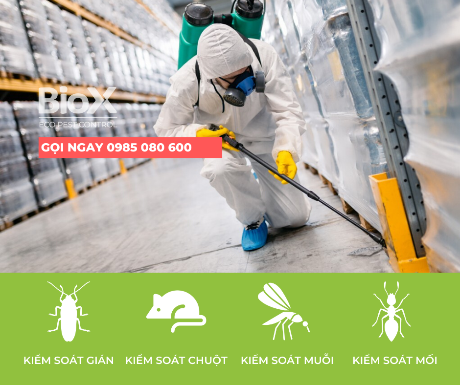 Công ty kiểm soát côn trùng Biox (Biox Eco Pest Control) ảnh 1